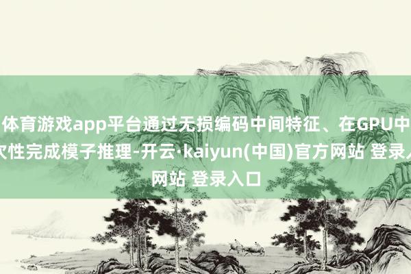 体育游戏app平台通过无损编码中间特征、在GPU中一次性完成模子推理-开云·kaiyun(中国)官方网站 登录入口