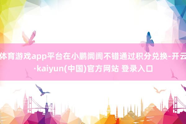 体育游戏app平台在小鹏阛阓不错通过积分兑换-开云·kaiyun(中国)官方网站 登录入口