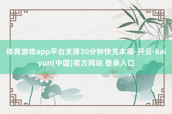 体育游戏app平台支撑30分钟快充本领-开云·kaiyun(中国)官方网站 登录入口