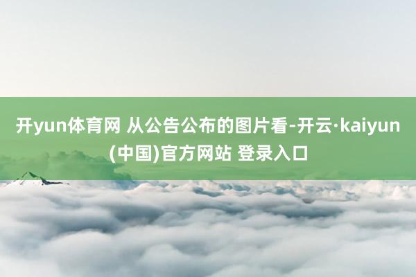 开yun体育网 从公告公布的图片看-开云·kaiyun(中国)官方网站 登录入口
