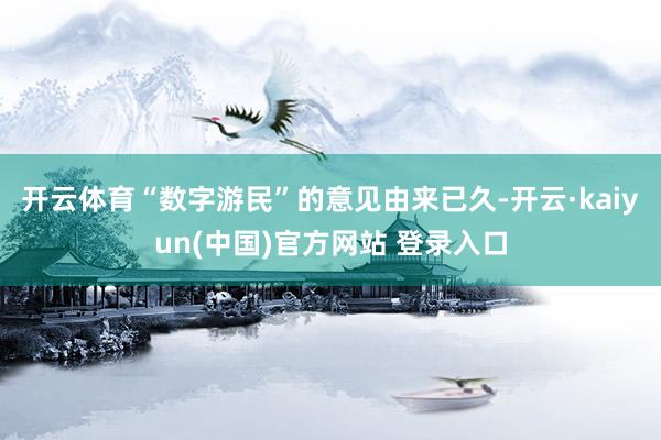 开云体育“数字游民”的意见由来已久-开云·kaiyun(中国)官方网站 登录入口