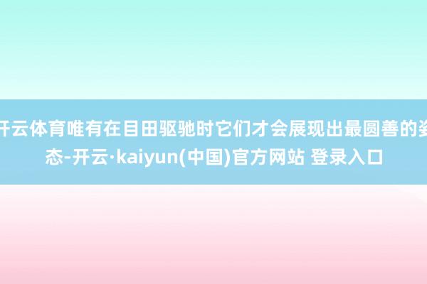 开云体育唯有在目田驱驰时它们才会展现出最圆善的姿态-开云·kaiyun(中国)官方网站 登录入口