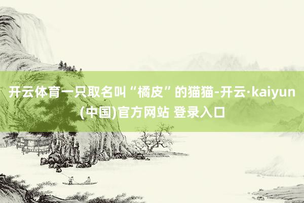 开云体育一只取名叫“橘皮”的猫猫-开云·kaiyun(中国)官方网站 登录入口