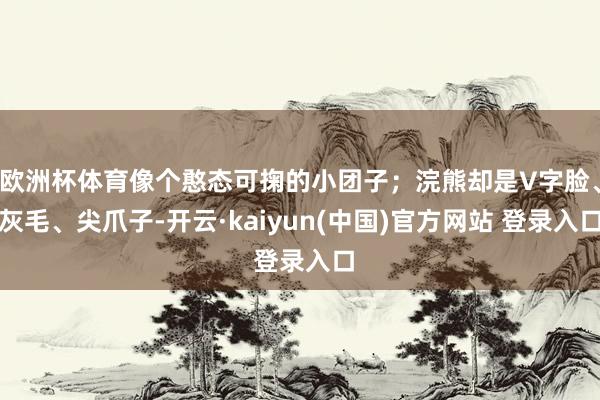 欧洲杯体育像个憨态可掬的小团子；浣熊却是V字脸、灰毛、尖爪子-开云·kaiyun(中国)官方网站 登录入口