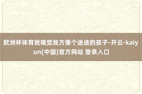 欧洲杯体育我嗅觉我方像个迷途的孩子-开云·kaiyun(中国)官方网站 登录入口