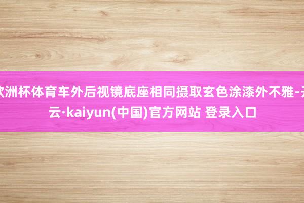 欧洲杯体育车外后视镜底座相同摄取玄色涂漆外不雅-开云·kaiyun(中国)官方网站 登录入口