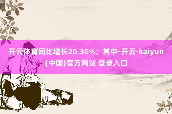开云体育同比增长20.30%；其中-开云·kaiyun(中国)官方网站 登录入口