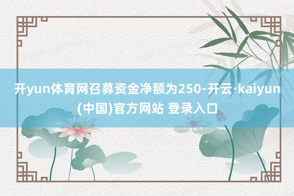 开yun体育网召募资金净额为250-开云·kaiyun(中国)官方网站 登录入口