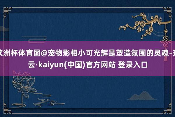 欧洲杯体育图@宠物影相小可光辉是塑造氛围的灵魂-开云·kaiyun(中国)官方网站 登录入口