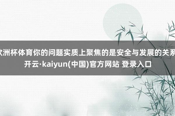 欧洲杯体育你的问题实质上聚焦的是安全与发展的关系-开云·kaiyun(中国)官方网站 登录入口