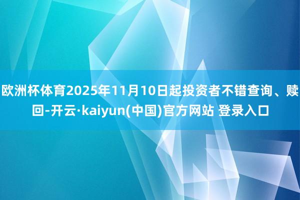 欧洲杯体育2025年11月10日起投资者不错查询、赎回-开云·kaiyun(中国)官方网站 登录入口