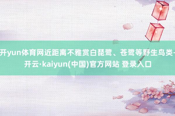 开yun体育网近距离不雅赏白琵鹭、苍鹭等野生鸟类-开云·kaiyun(中国)官方网站 登录入口