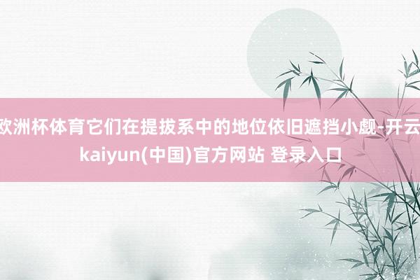 欧洲杯体育它们在提拔系中的地位依旧遮挡小觑-开云·kaiyun(中国)官方网站 登录入口