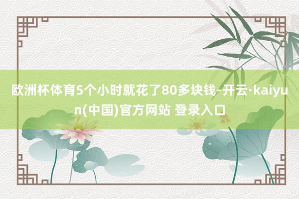 欧洲杯体育5个小时就花了80多块钱-开云·kaiyun(中国)官方网站 登录入口