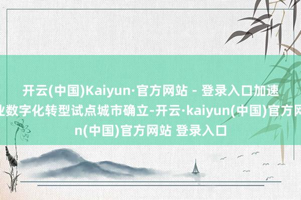 开云(中国)Kaiyun·官方网站 - 登录入口加速国度中小企业数字化转型试点城市确立-开云·kaiyun(中国)官方网站 登录入口